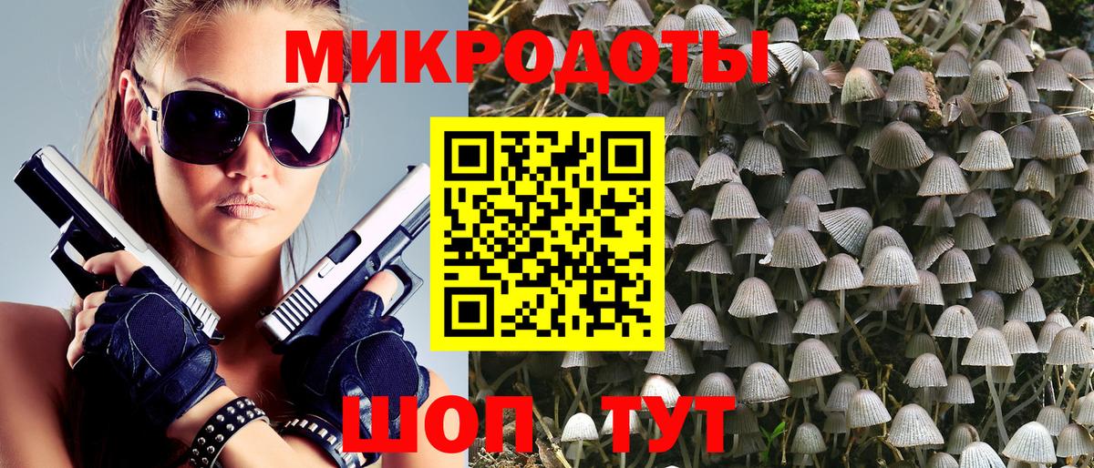 Псилоцибиновые грибы Psilocybe Ульяновск