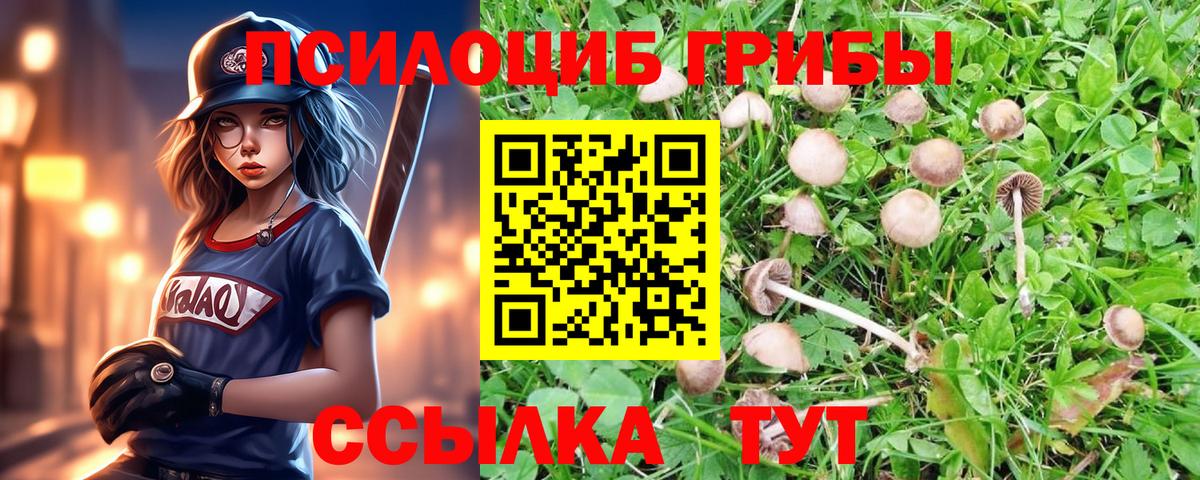 Псилоцибиновые грибы MAGIC MUSHROOMS  Вход с VPN  Псилоцибиновые грибы мицелий  купить наркоту  Ульяновск 